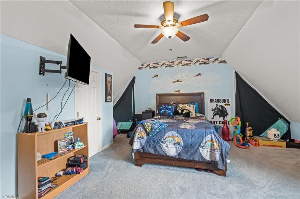 Stick/Site Built at 4763 Pineview Drive, Trinity NC 27370, photo 26 of 50