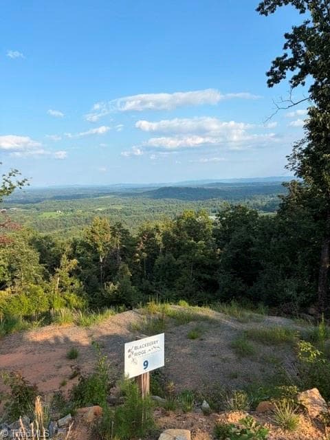 Single Family Residence at Lot #9 Widow Mountain Drive, McGrady NC 28649, photo 2 of 10