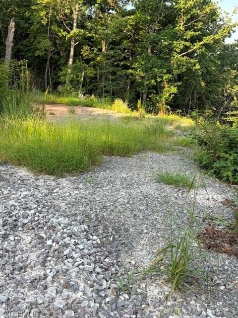 Single Family Residence at Lot #9 Widow Mountain Drive, McGrady NC 28649, photo 6 of 10
