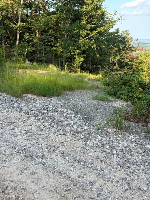 Single Family Residence at Lot #9 Widow Mountain Drive, McGrady NC 28649, photo 7 of 10