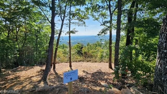 Single Family Residence at Lot #9 Widow Mountain Drive, McGrady NC 28649, photo 3 of 10