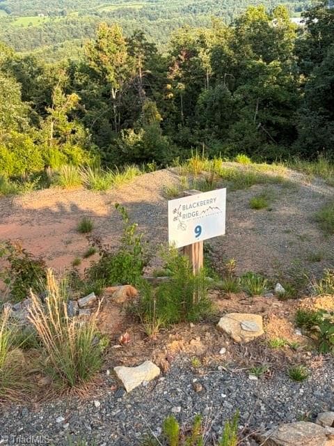 Single Family Residence at Lot #9 Widow Mountain Drive, McGrady NC 28649, photo 5 of 10