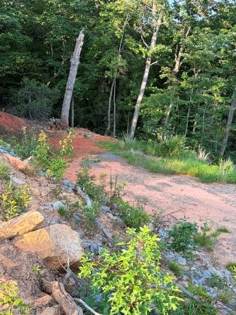 Single Family Residence at Lot #9 Widow Mountain Drive, McGrady NC 28649, photo 10 of 10