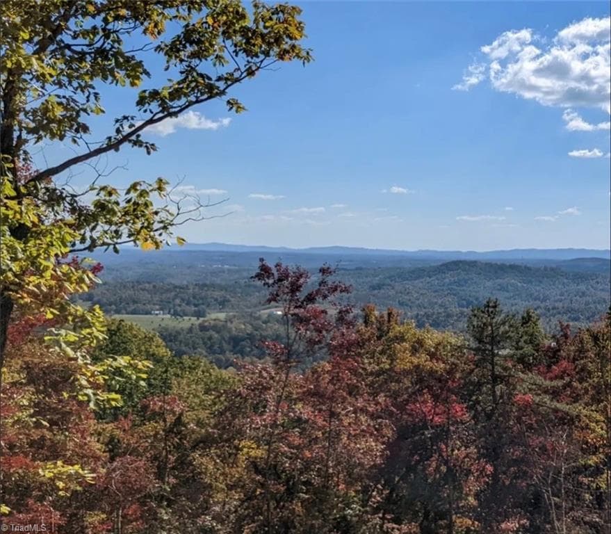 Single Family Residence at Lot #9 Widow Mountain Drive, McGrady NC 28649, photo 4 of 10