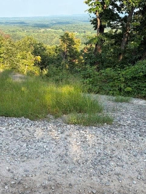 Single Family Residence at Lot #9 Widow Mountain Drive, McGrady NC 28649, photo 8 of 10