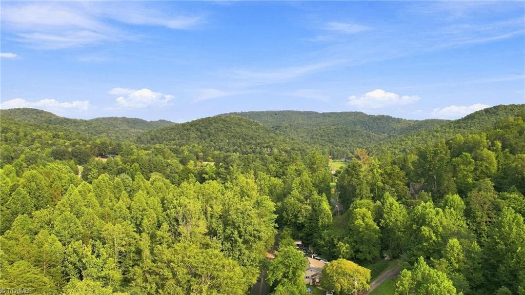 Unimproved Land at TBD Russell Gap Road, Moravian Falls NC 28654, photo 6 of 16