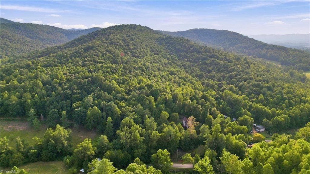 Unimproved Land at TBD Russell Gap Road, Moravian Falls NC 28654, photo 13 of 16
