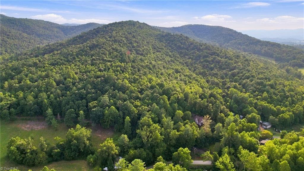 Unimproved Land at TBD Russell Gap Road, Moravian Falls NC 28654, photo 12 of 16