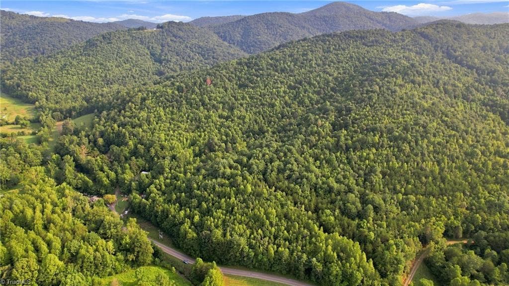 Unimproved Land at TBD Russell Gap Road, Moravian Falls NC 28654, photo 7 of 16