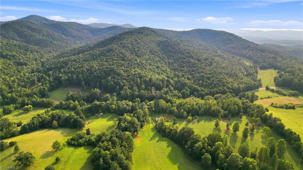 Unimproved Land at TBD Russell Gap Road, Moravian Falls NC 28654, photo 3 of 16