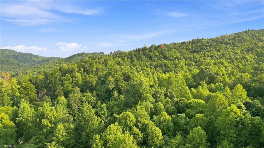 Unimproved Land at TBD Russell Gap Road, Moravian Falls NC 28654, photo 5 of 16