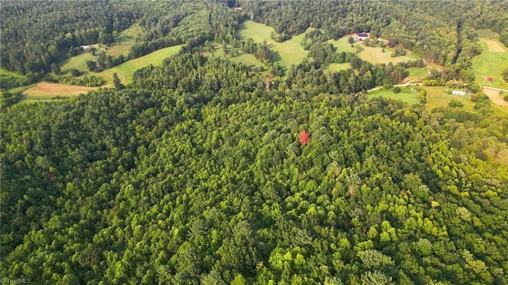 Unimproved Land at TBD Russell Gap Road, Moravian Falls NC 28654, photo 9 of 16