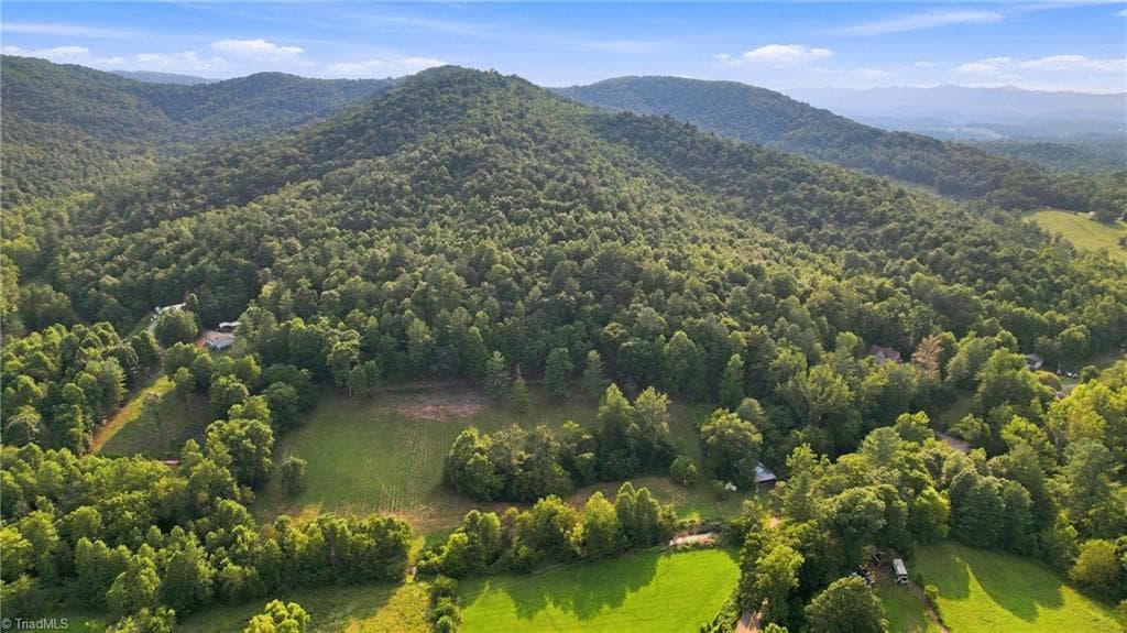 Unimproved Land at TBD Russell Gap Road, Moravian Falls NC 28654, photo 10 of 16