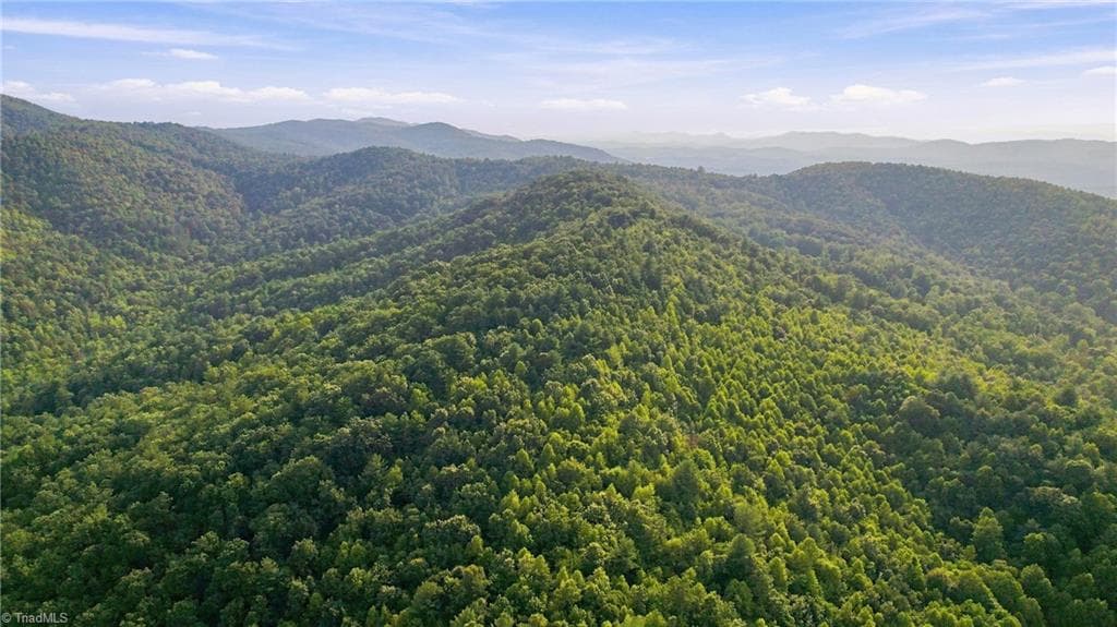 Unimproved Land at TBD Russell Gap Road, Moravian Falls NC 28654, photo 8 of 16