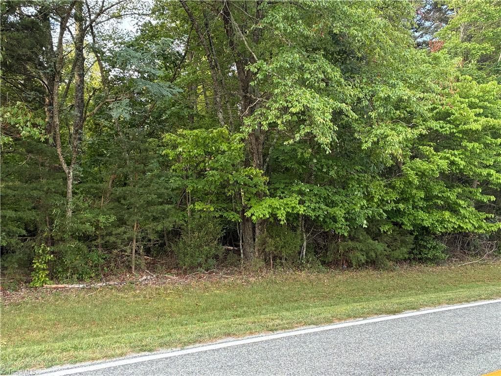 Road frontage on Barham Road - 00 Bethany Road, Reidsville NC 27320, Reidsville