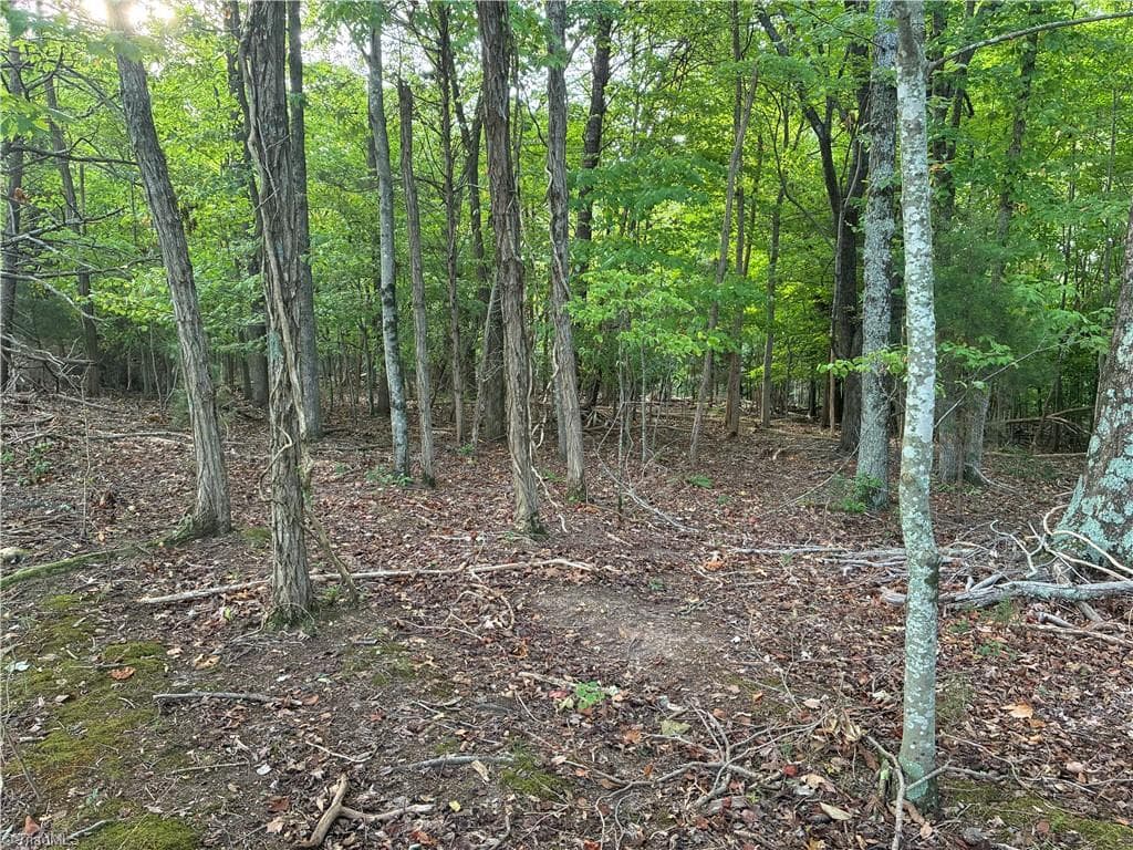 Mature trees and serene natural surroundings offer endless possibilities for outdoor recreation, hunting, or private trail networks. - 00 Bethany Road, Reidsville NC 27320, Reidsville