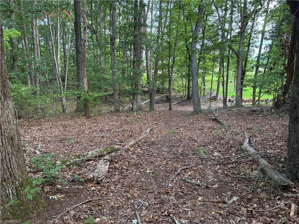 00 Bethany Road, Reidsville NC 27320