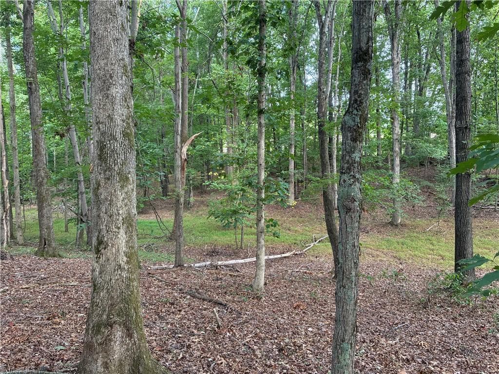 Agriculture at 00 Bethany Road, Reidsville NC 27320, photo 5 of 11