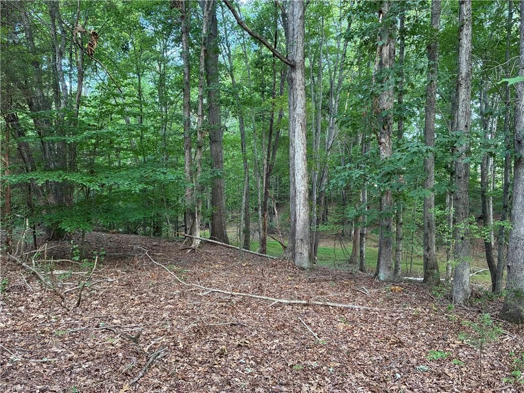 Agriculture at 00 Bethany Road, Reidsville NC 27320, photo 4 of 11