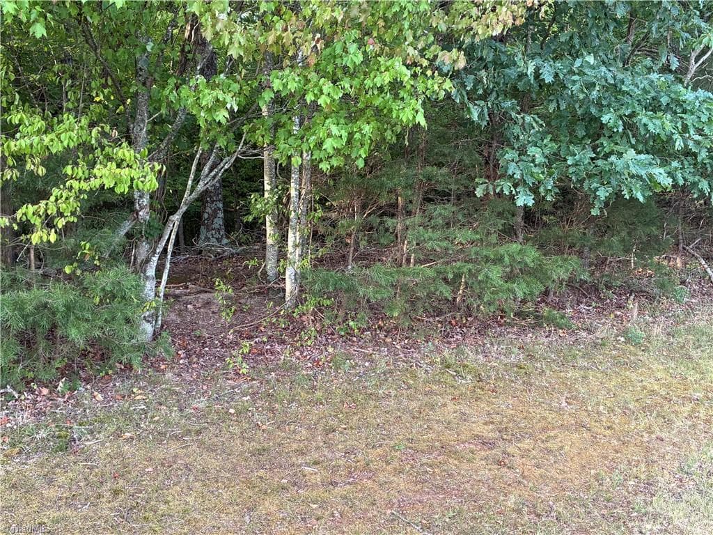 Agriculture at 00 Bethany Road, Reidsville NC 27320, Reidsville, photo 15 of 22