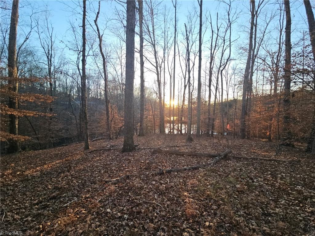 Unimproved Land at 0 Massey Creek Road, Madison NC 27025, photo 6 of 14
