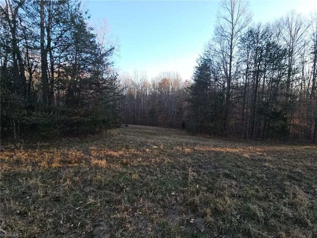 Unimproved Land at 0 Massey Creek Road, Madison NC 27025, photo 5 of 14