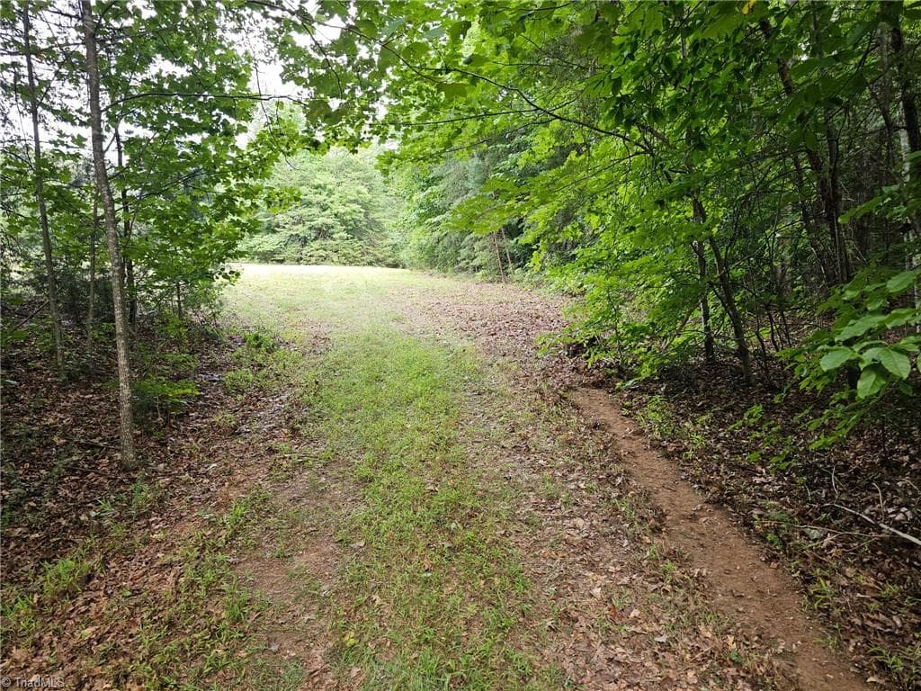 Unimproved Land at 0 Massey Creek Road, Madison NC 27025, photo 4 of 14