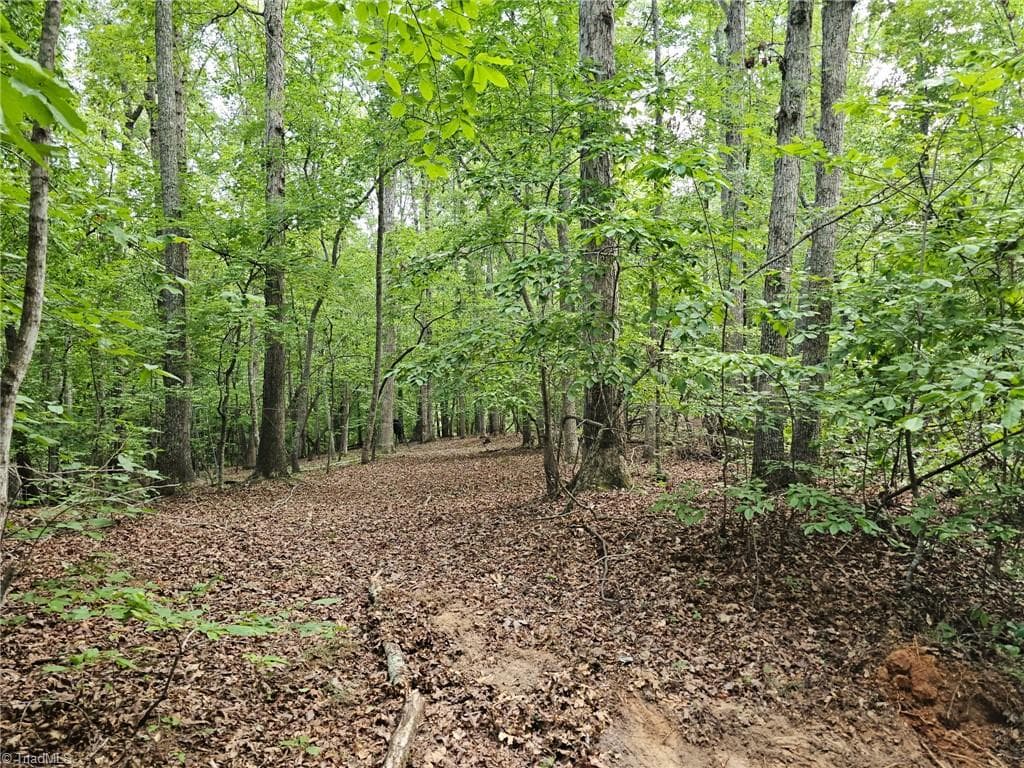 Unimproved Land at 0 Massey Creek Road, Madison NC 27025, photo 8 of 14