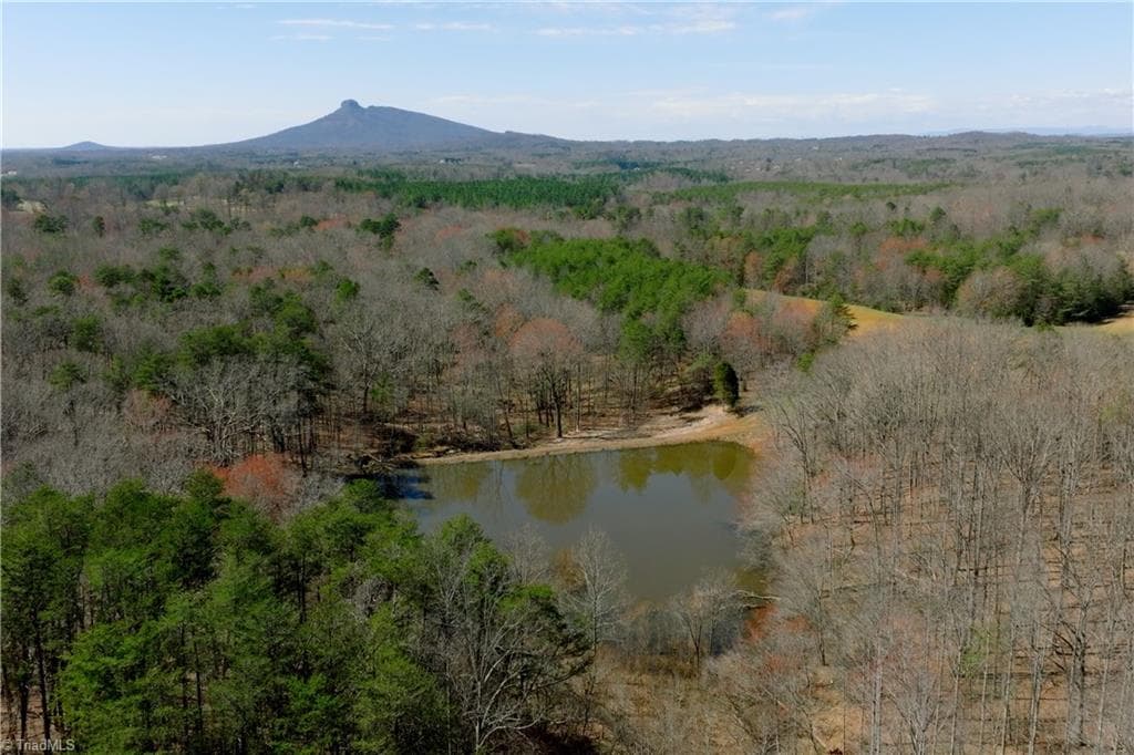 Unimproved Land at 5 Old Mill Road, Pinnacle NC 27043, photo 6 of 23