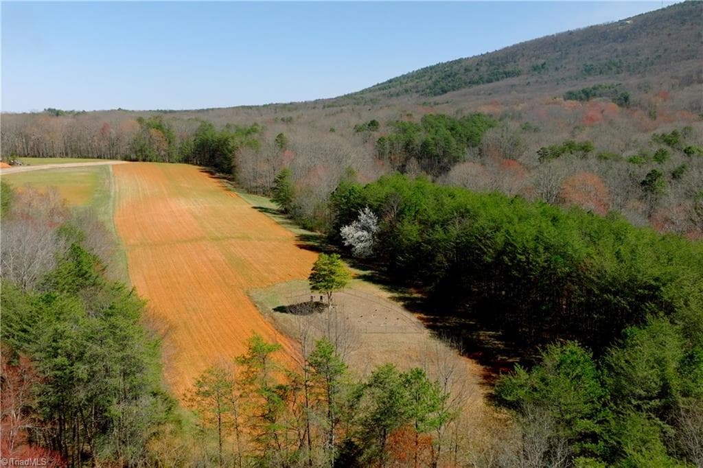 Unimproved Land at 5 Old Mill Road, Pinnacle NC 27043, photo 3 of 23