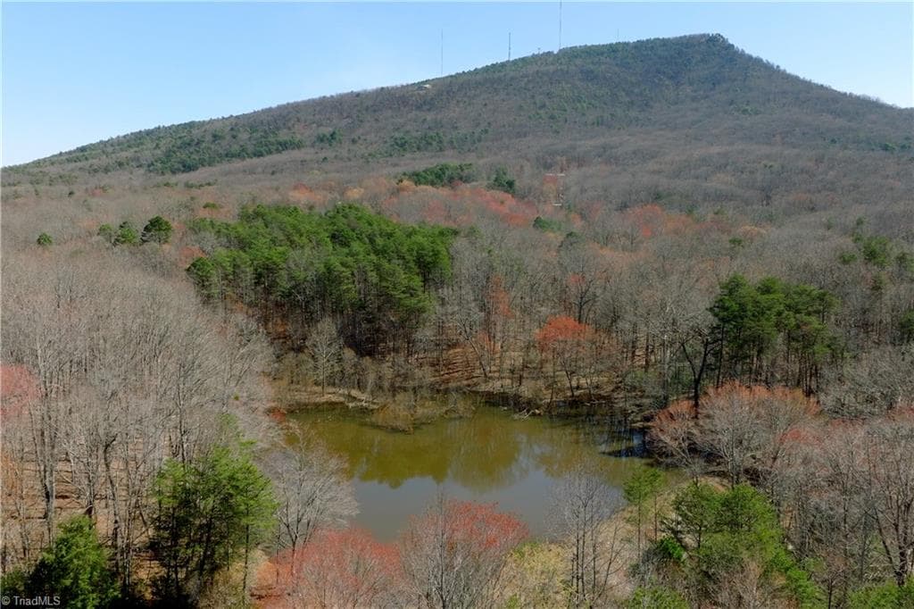 Unimproved Land at 5 Old Mill Road, Pinnacle NC 27043, photo 5 of 23