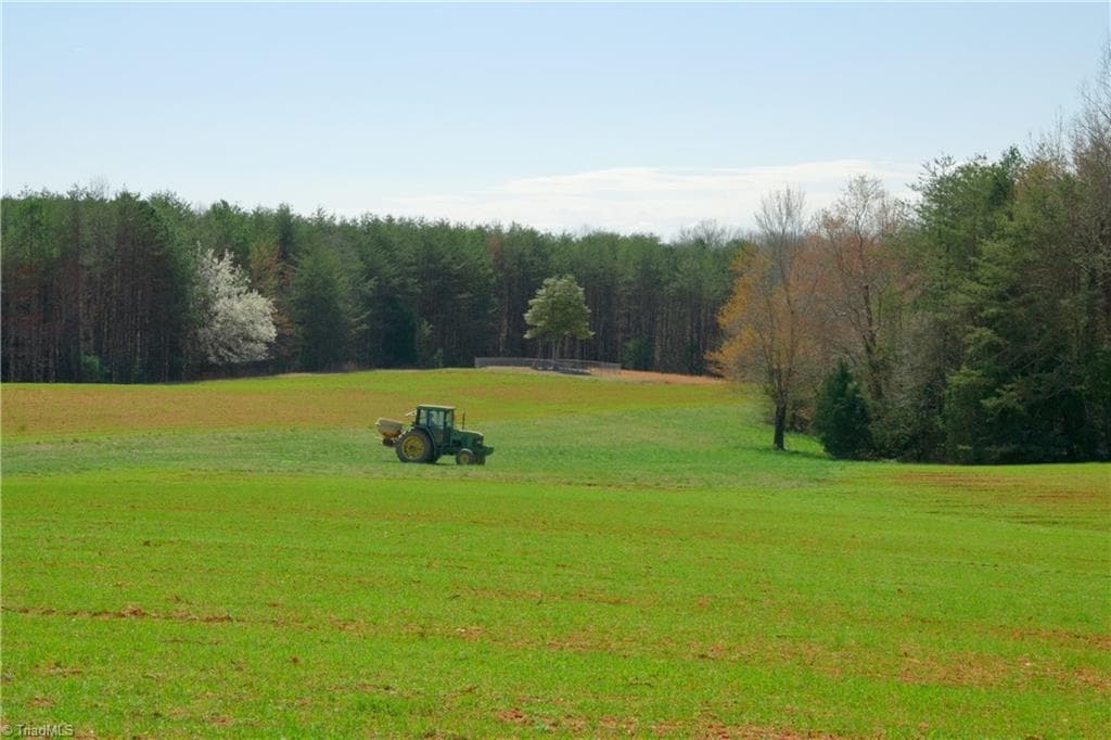 Unimproved Land at 5 Old Mill Road, Pinnacle NC 27043, photo 9 of 23
