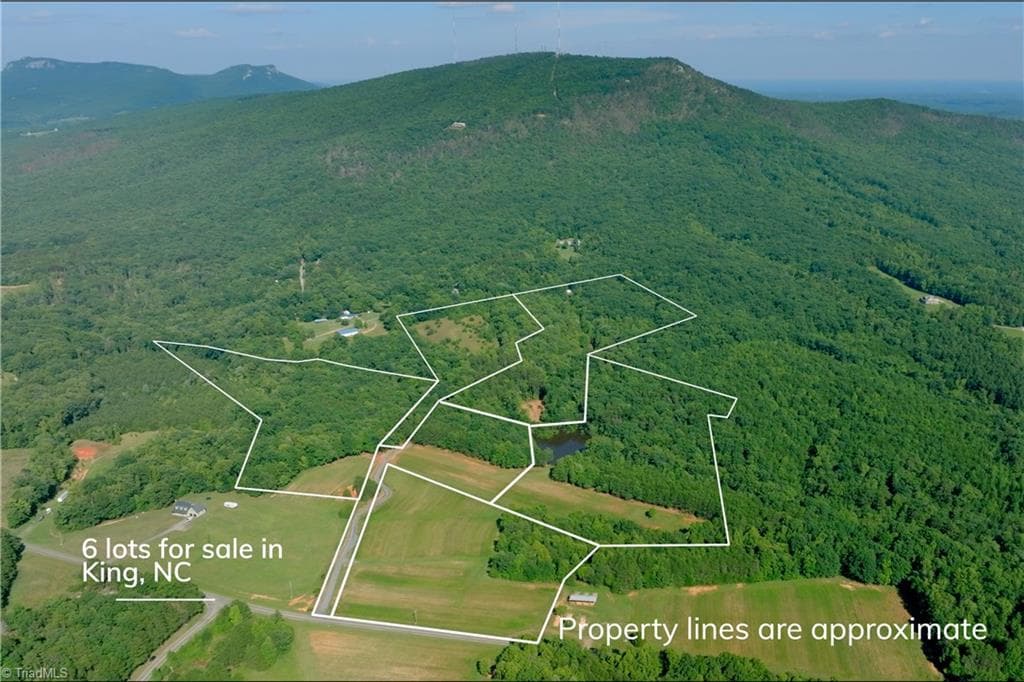 Unimproved Land at 5 Old Mill Road, Pinnacle NC 27043, photo 10 of 23