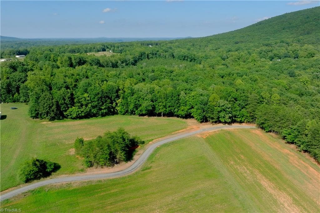 Unimproved Land at 5 Old Mill Road, Pinnacle NC 27043, photo 15 of 23