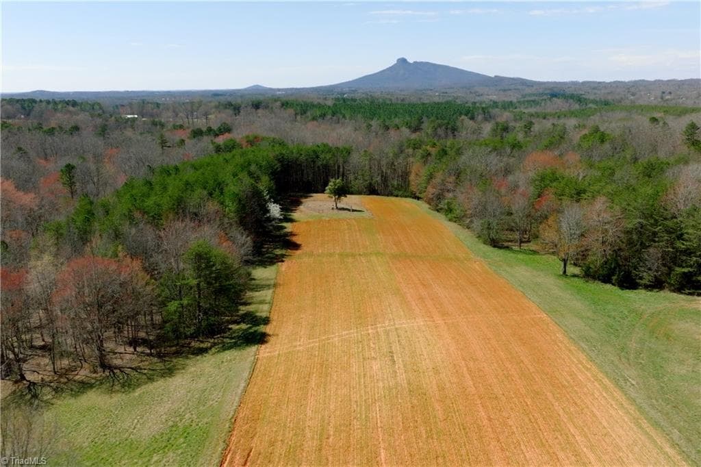 Unimproved Land at 5 Old Mill Road, Pinnacle NC 27043, photo 4 of 23