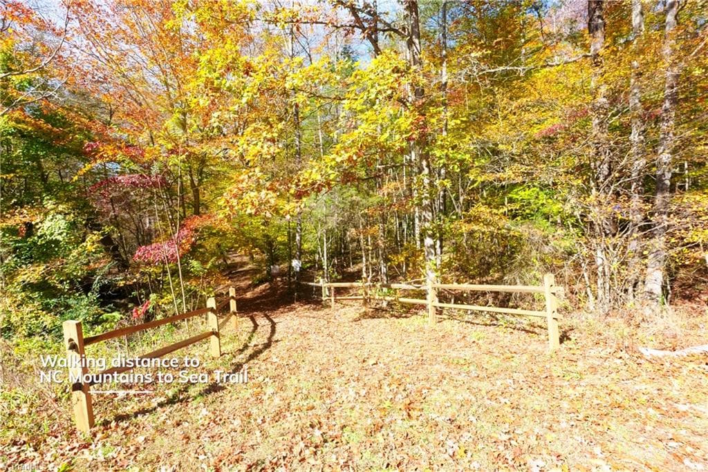 Unimproved Land at 5 Old Mill Road, Pinnacle NC 27043, photo 21 of 23
