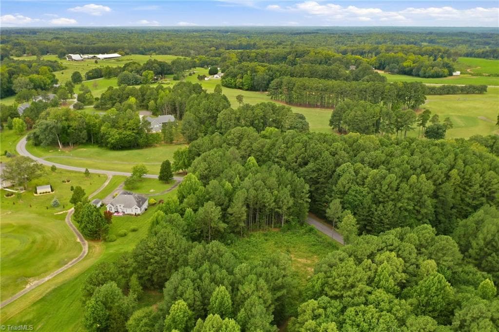 Single Family Residence at 0 Oak Tree Drive, Blanch NC 27212, photo 6 of 16