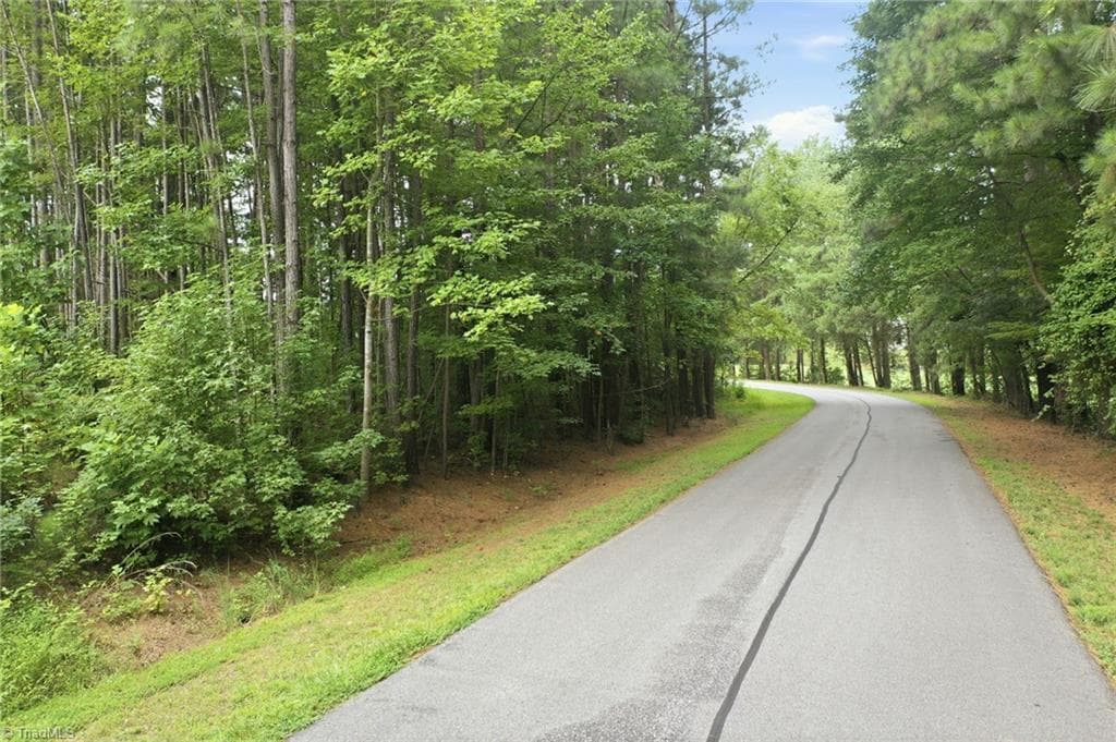 Single Family Residence at 0 Oak Tree Drive, Blanch NC 27212, photo 3 of 16