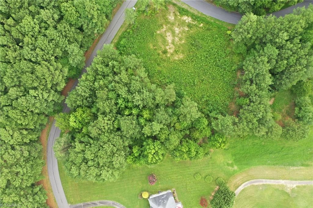 0 Oak Tree Drive, Blanch NC 27212