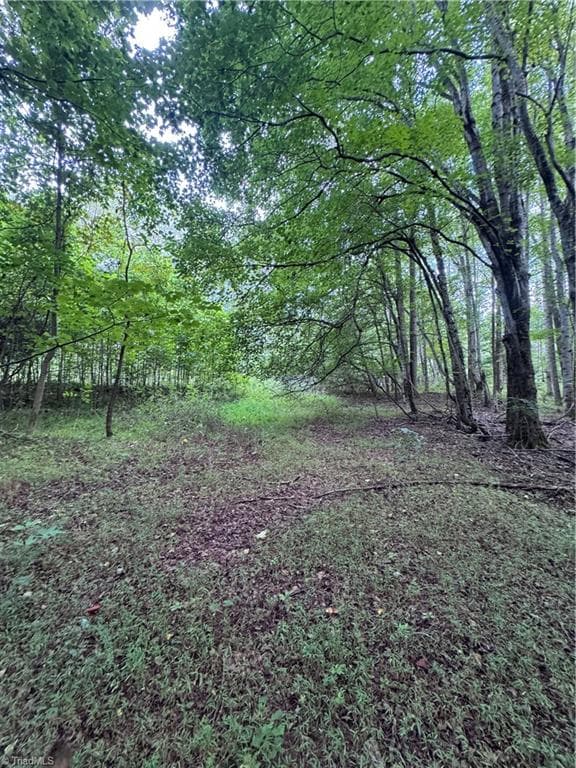 Agriculture at 0 Johnson Road, King NC 27021, photo 7 of 14