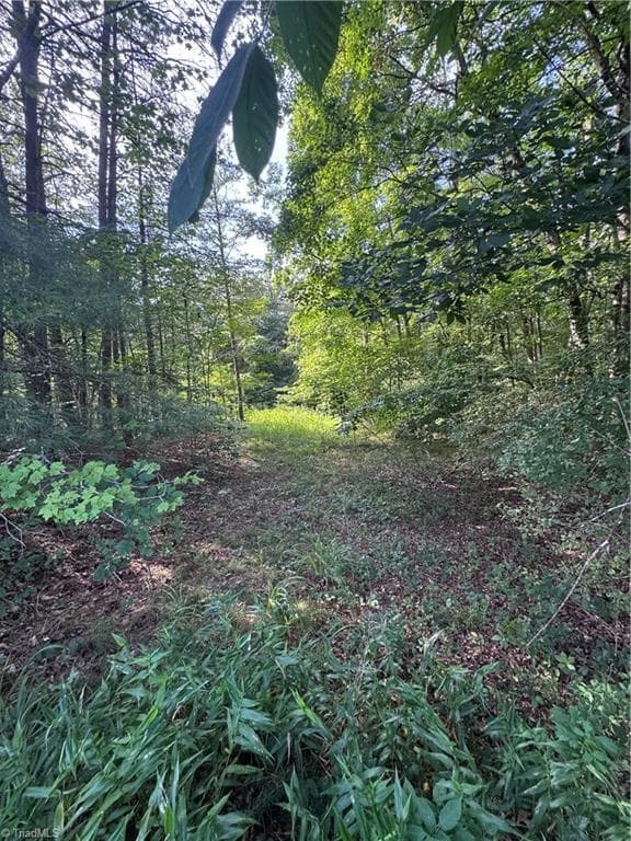 Agriculture at 0 Johnson Road, King NC 27021, photo 14 of 14