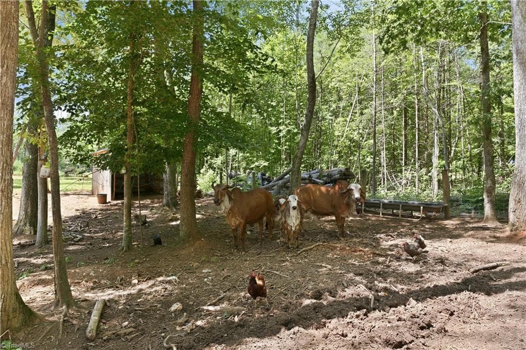 Stick/Site Built at 6407 Vedic Drive, Whitsett NC 27377, photo 38 of 50