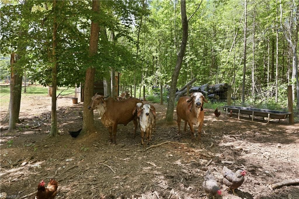 Stick/Site Built at 6407 Vedic Drive, Whitsett NC 27377, photo 39 of 50