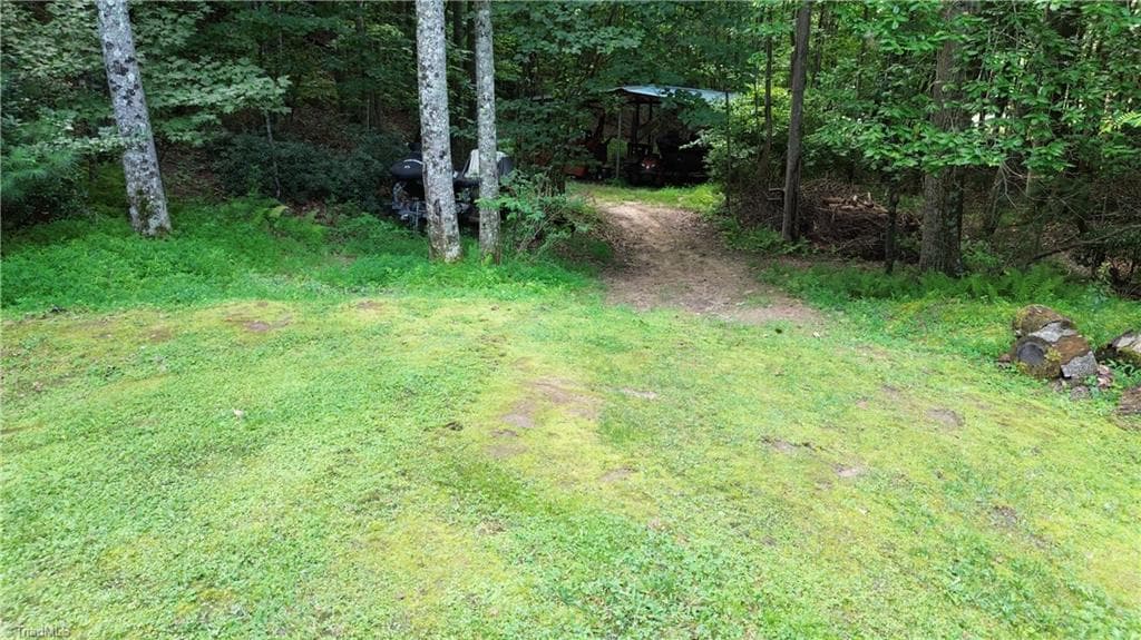 Stick/Site Built at 1647 Staghorn Road, Purlear NC 28665, Purlear, photo 38 of 40