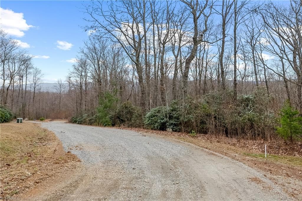 Single Family Residence at TBD W Pheasant Chase, Ararat VA 24053, Ararat, photo 2 of 21