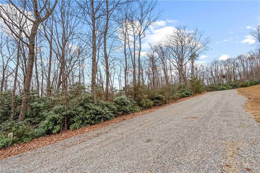 Single Family Residence at TBD W Pheasant Chase, Ararat VA 24053, Ararat, photo 6 of 21