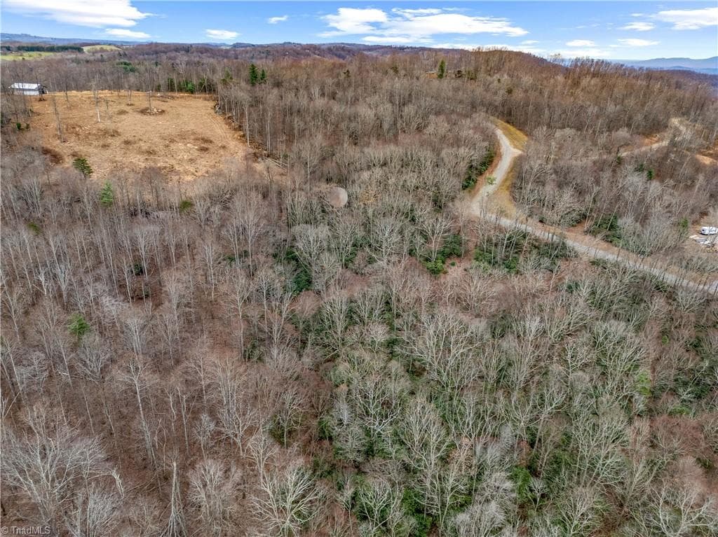 Single Family Residence at TBD W Pheasant Chase, Ararat VA 24053, Ararat, photo 17 of 21