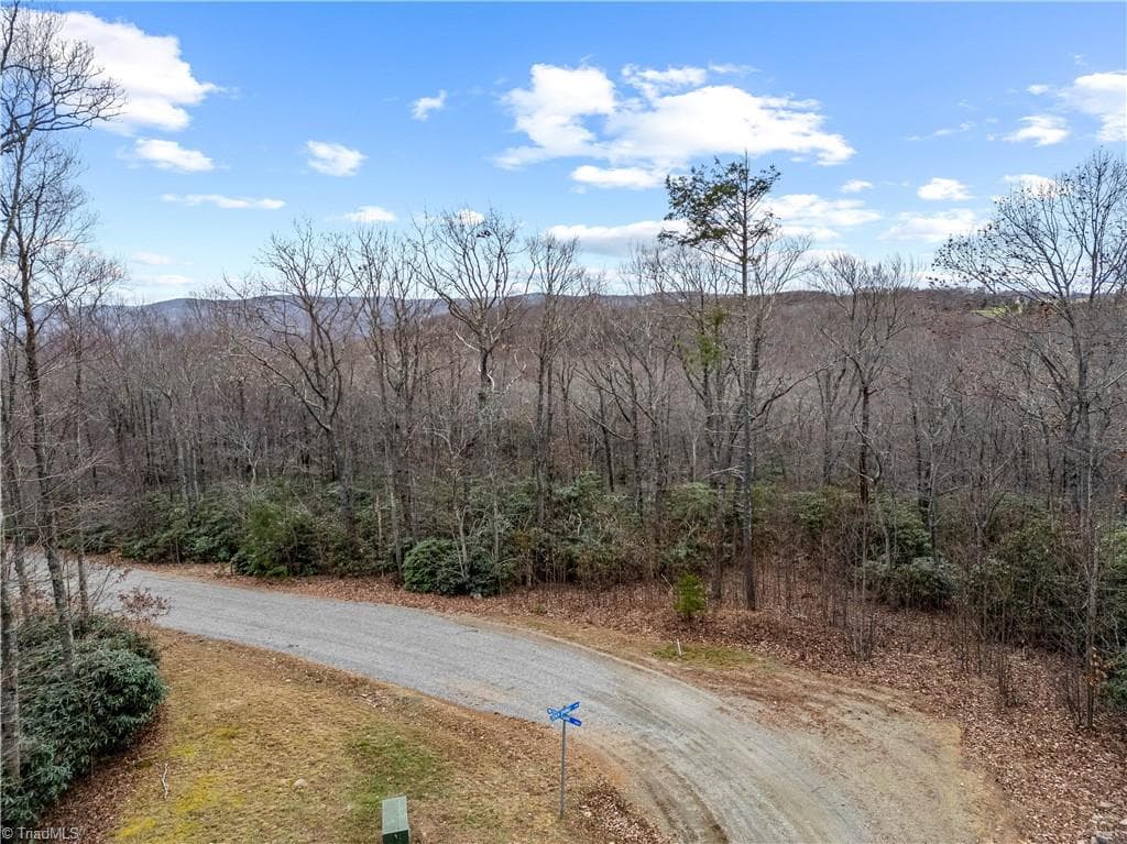Single Family Residence at TBD W Pheasant Chase, Ararat VA 24053, Ararat, photo 7 of 21