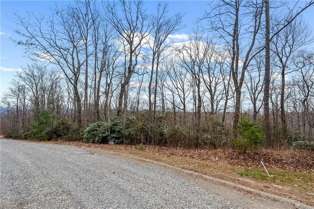 Single Family Residence at TBD W Pheasant Chase, Ararat VA 24053, Ararat, photo 3 of 21