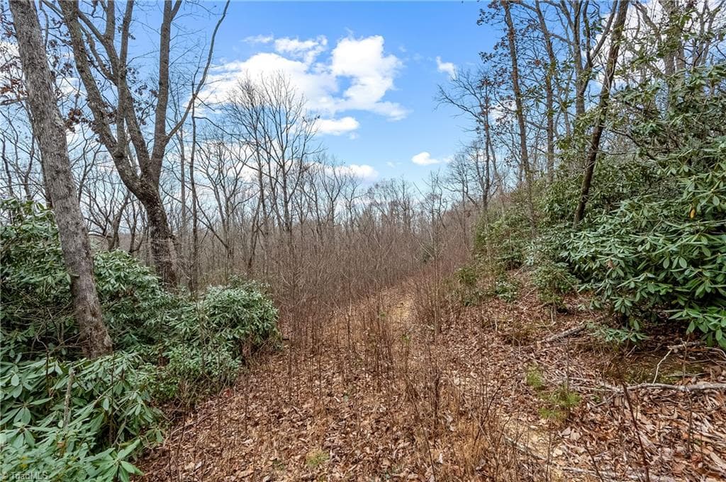 Single Family Residence at TBD W Pheasant Chase, Ararat VA 24053, Ararat, photo 5 of 21